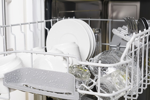 dishwasher and plates