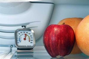 Refrigerator temperature to keep food fresh