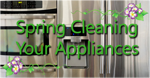 Spring Cleaning Your Appliances