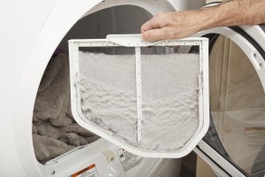 Dryer lint filter