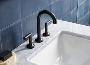 Brizo Faucet